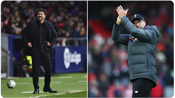 因马来西亚违规归化被禁赛，记者：卡利美洲考虑解约霍尔加多