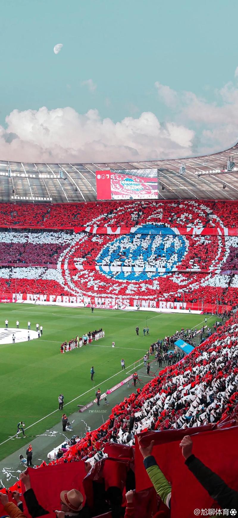 杜埃：我会看世界杯抽签仪式，希望我能参加美加墨世界杯