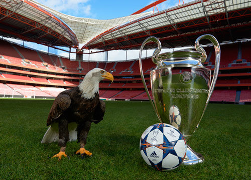 TA：切尔西不会重新追求迈尼昂；罗德里戈不符合蓝军引援需求（TA：切尔西无意再追迈尼昂，罗德里戈不在蓝军引援计划内）